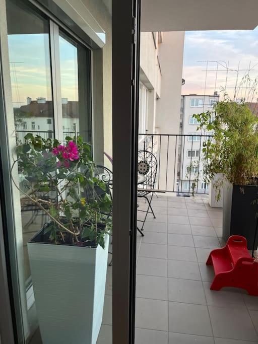 Apartment In Historical Center With Park View بلزن المظهر الخارجي الصورة