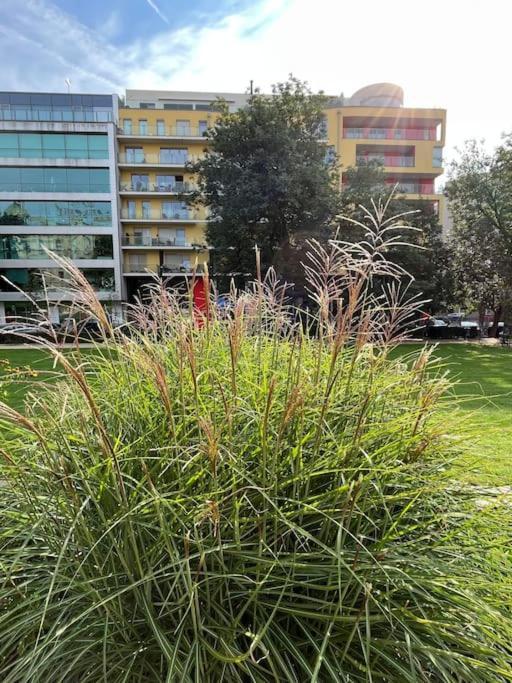 Apartment In Historical Center With Park View بلزن المظهر الخارجي الصورة