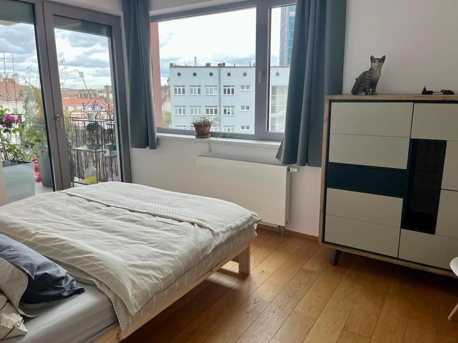Apartment In Historical Center With Park View بلزن المظهر الخارجي الصورة