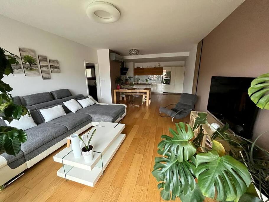 Apartment In Historical Center With Park View بلزن المظهر الخارجي الصورة