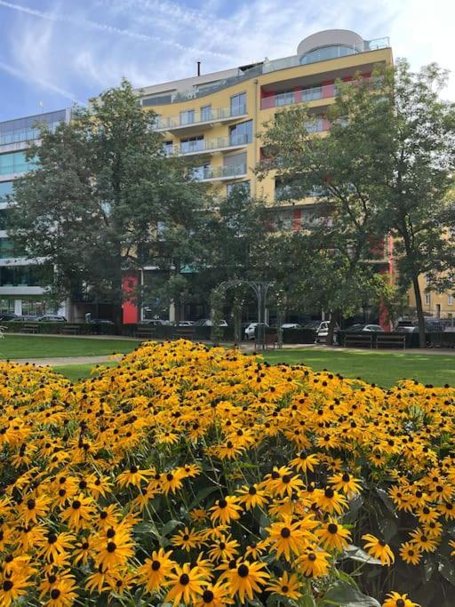 Apartment In Historical Center With Park View بلزن المظهر الخارجي الصورة